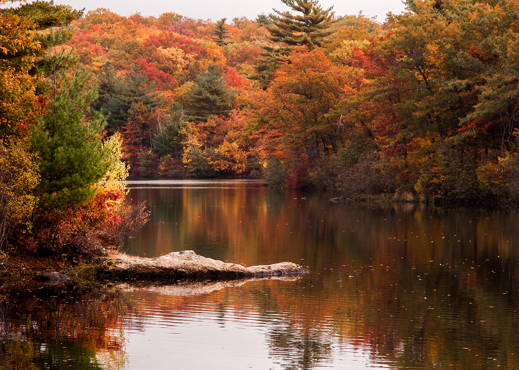 Fall Foliage Still Around for Fall Colors