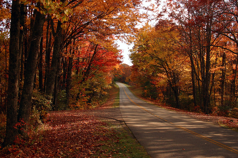 fall foliage and fall colors