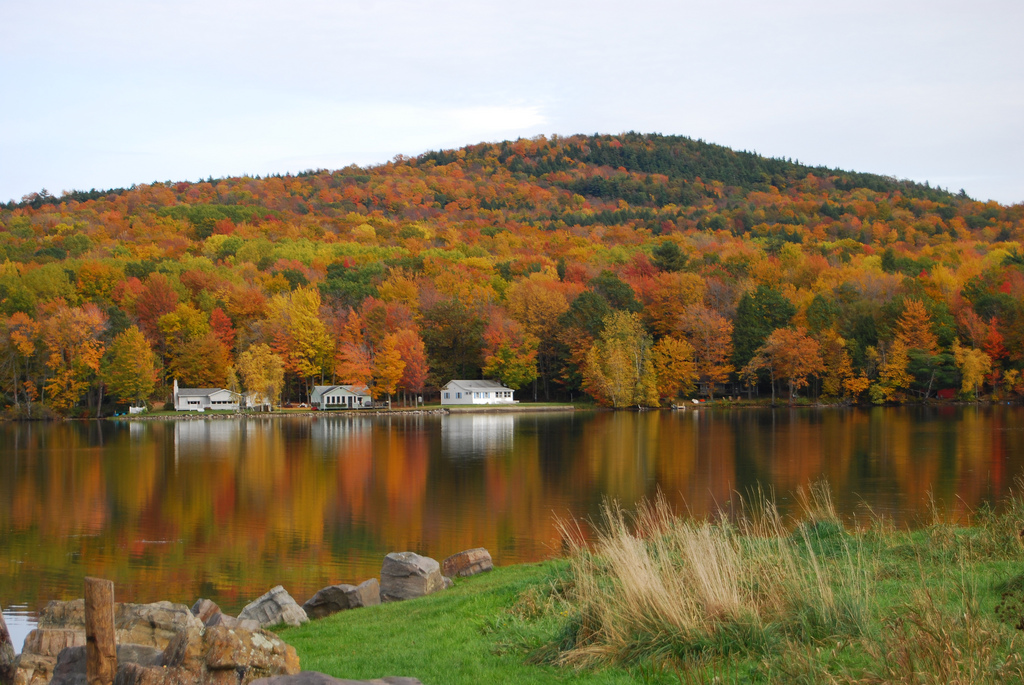 Northeast Kingdom (NEC) Photo by Mario Bollini, Creative Commons License