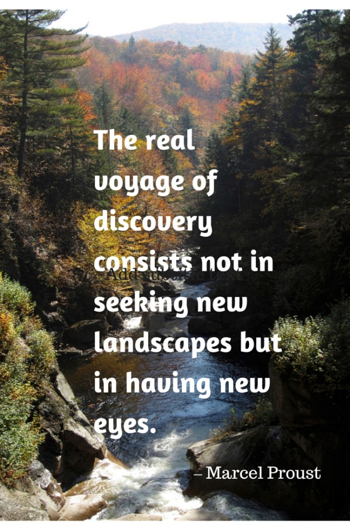 The real voyage of discovery consists…