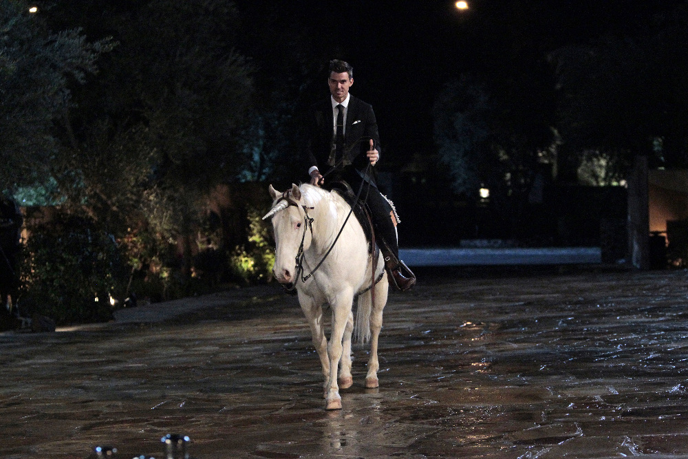 Luke on a Unicorn, the Bachelorette